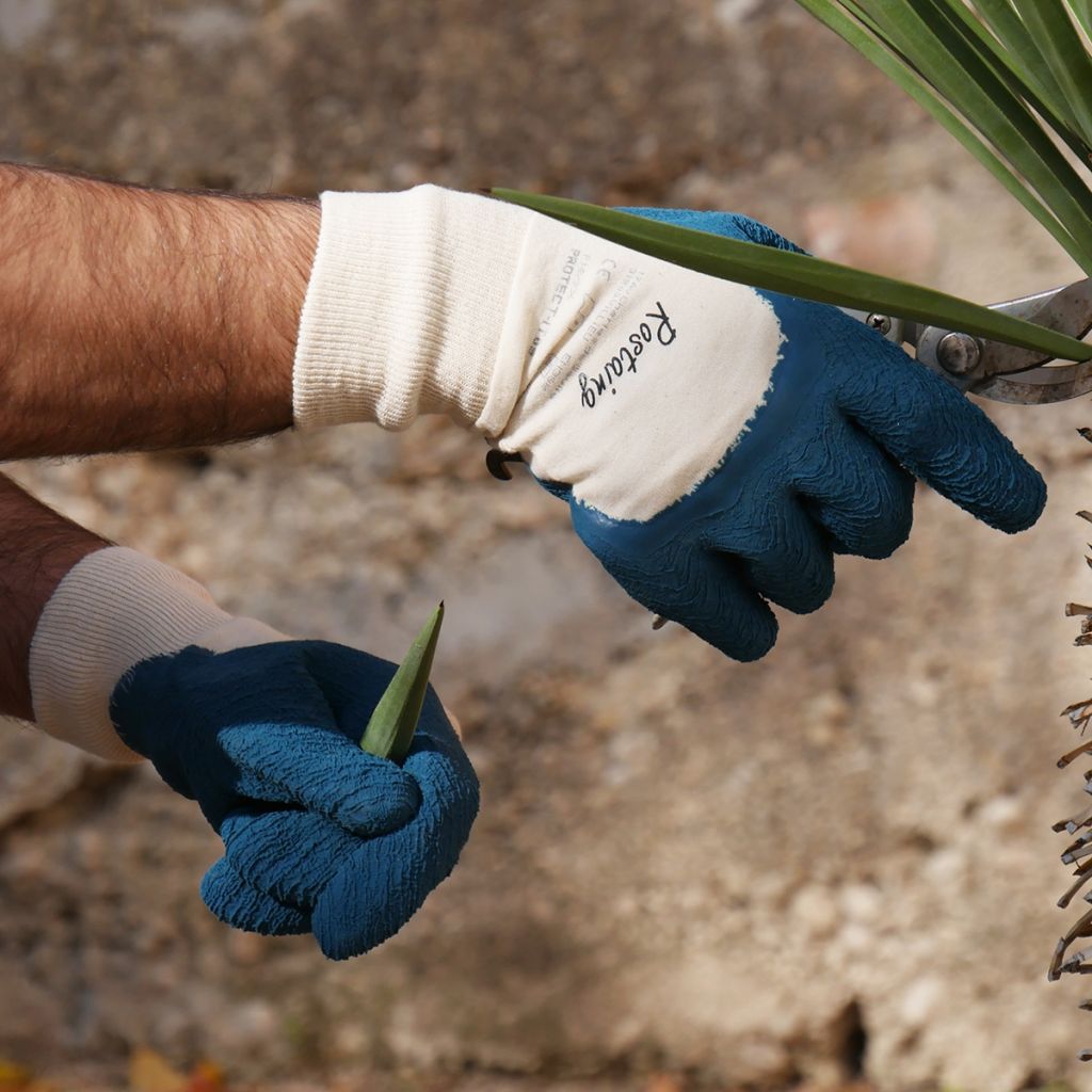 Gants de taille Rostaing pour rosiers et petits épineux Protect-I bleu - différentes tailles disponibles