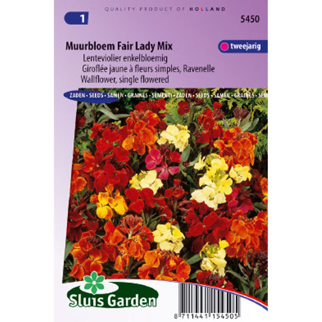 Garten-Goldlack Fair Lady Mix (Samen) - Erysimum