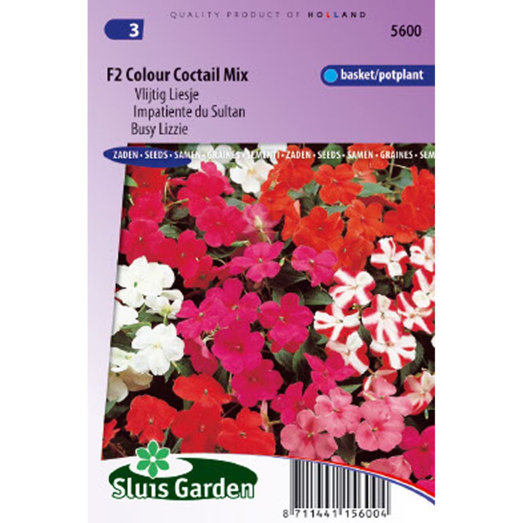 Fleißige Lieschen F2 Colour Cocktail (Samen) - Impatiens walleriana