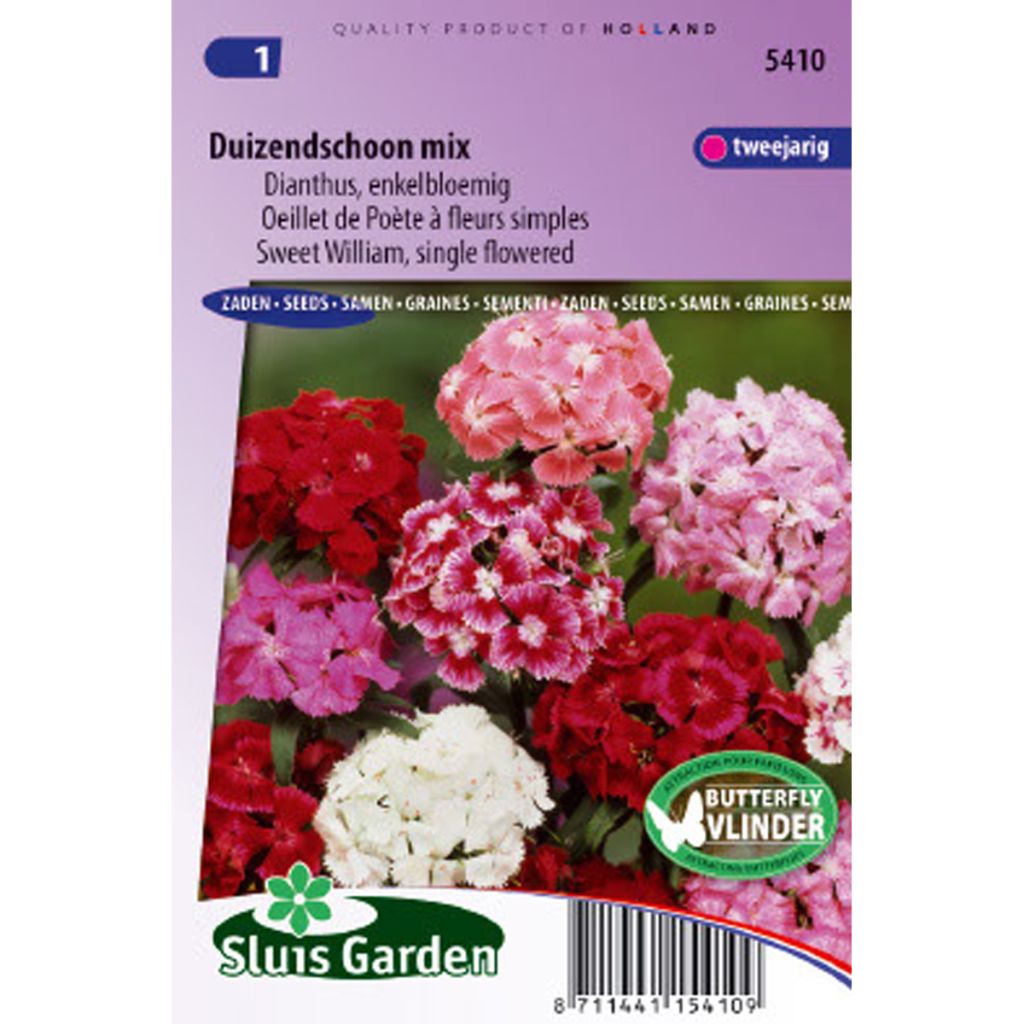 Dianthus barbatus Mix (Samen) - Bartnelke