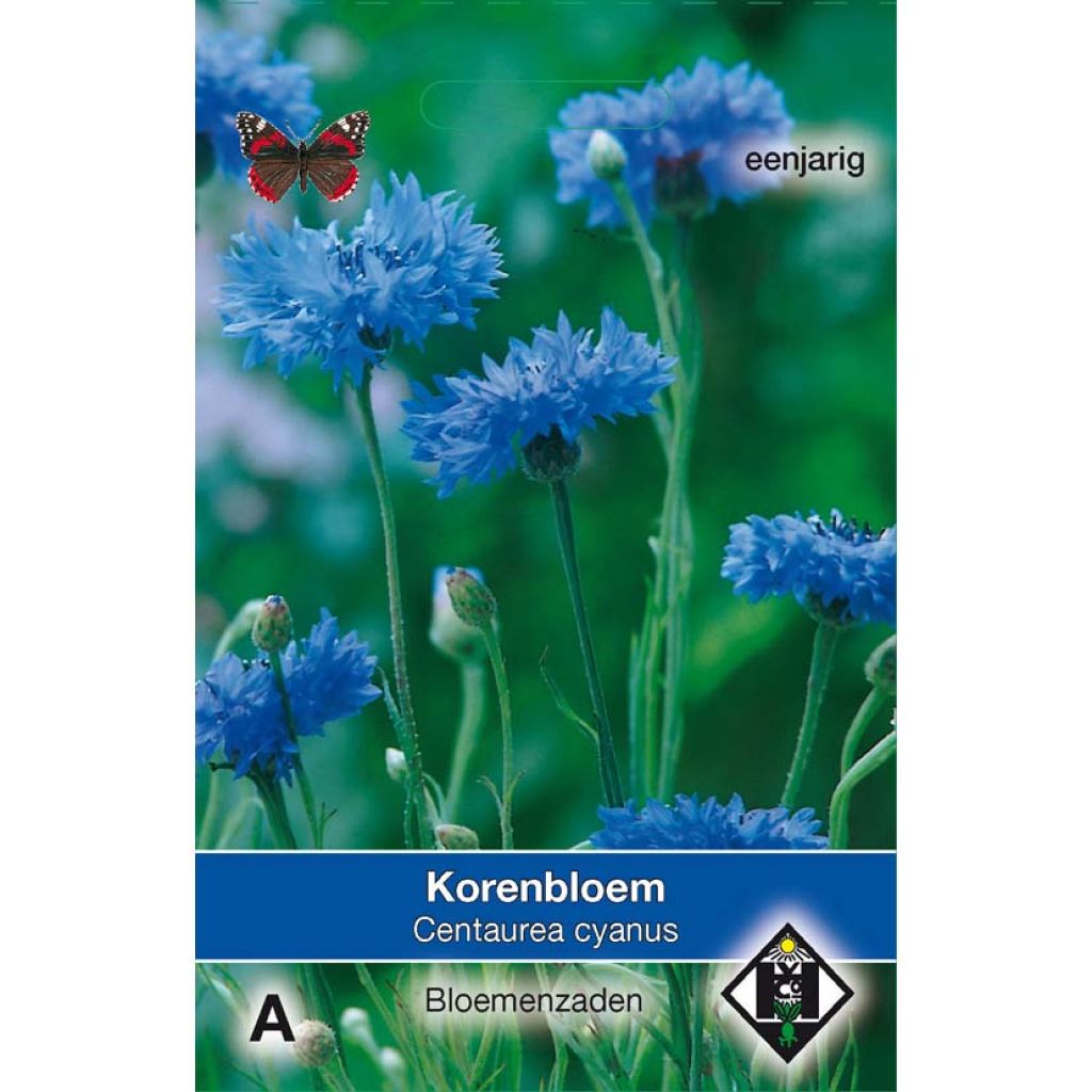 Kornblume (Samen) - Centaurea cyanus