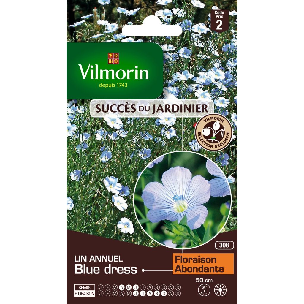 Großblütiger Lein Blue Dress (Samen) - Linum