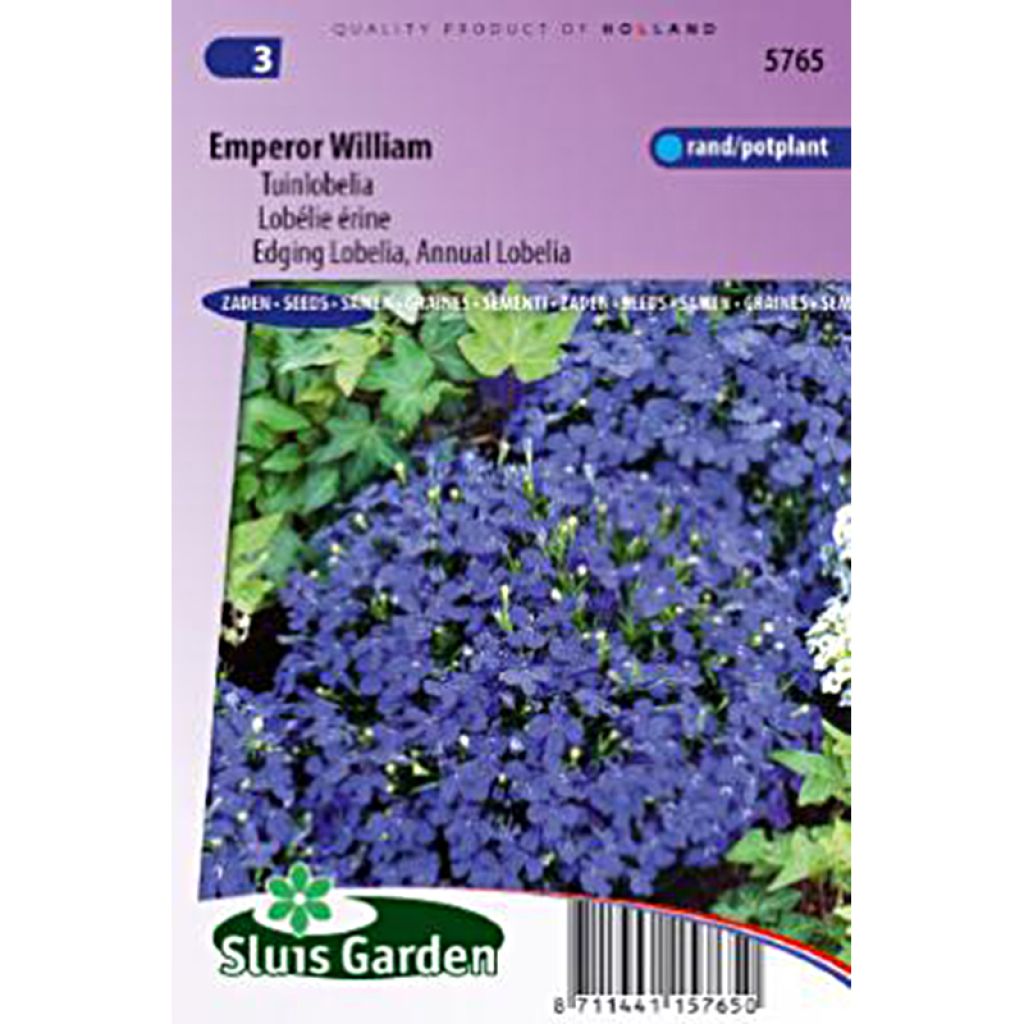 Lobelia erinus compacta Empereur William (Samen) - Lobelie