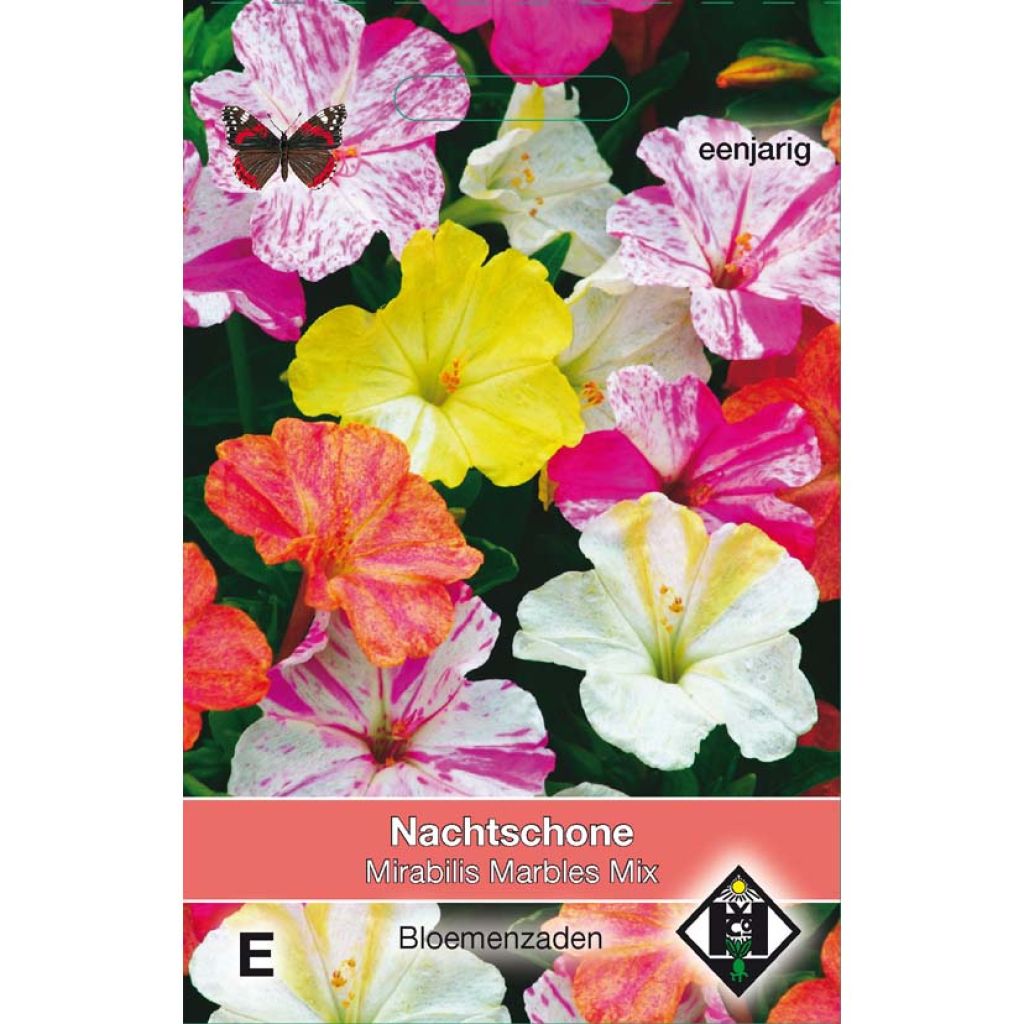 Mirabilis jalapa Marbles Mix (Samen) - Wunderblume