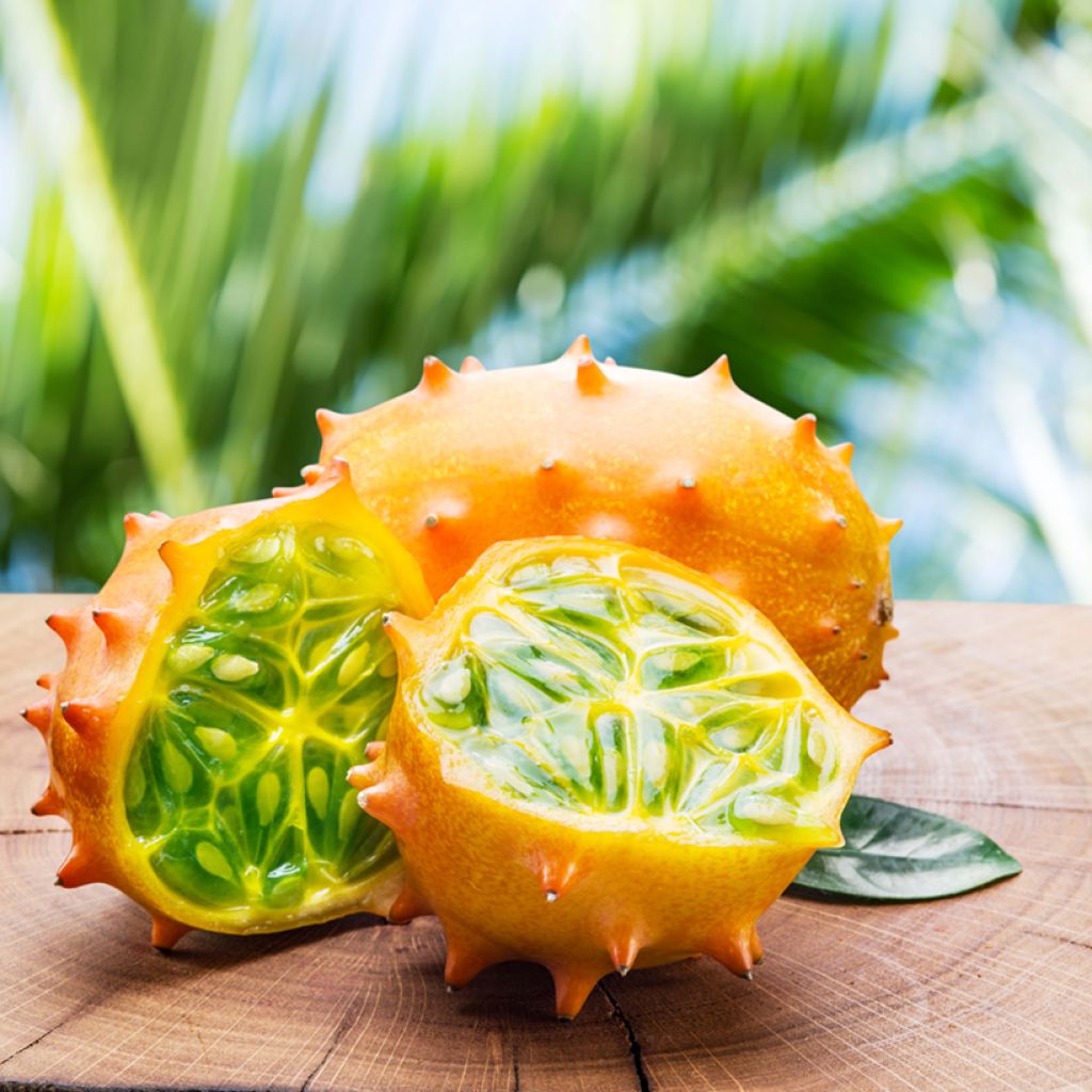 Kiwano - Concombre Cornu d'Afrique Bio - Ferme de Sainte Marthe