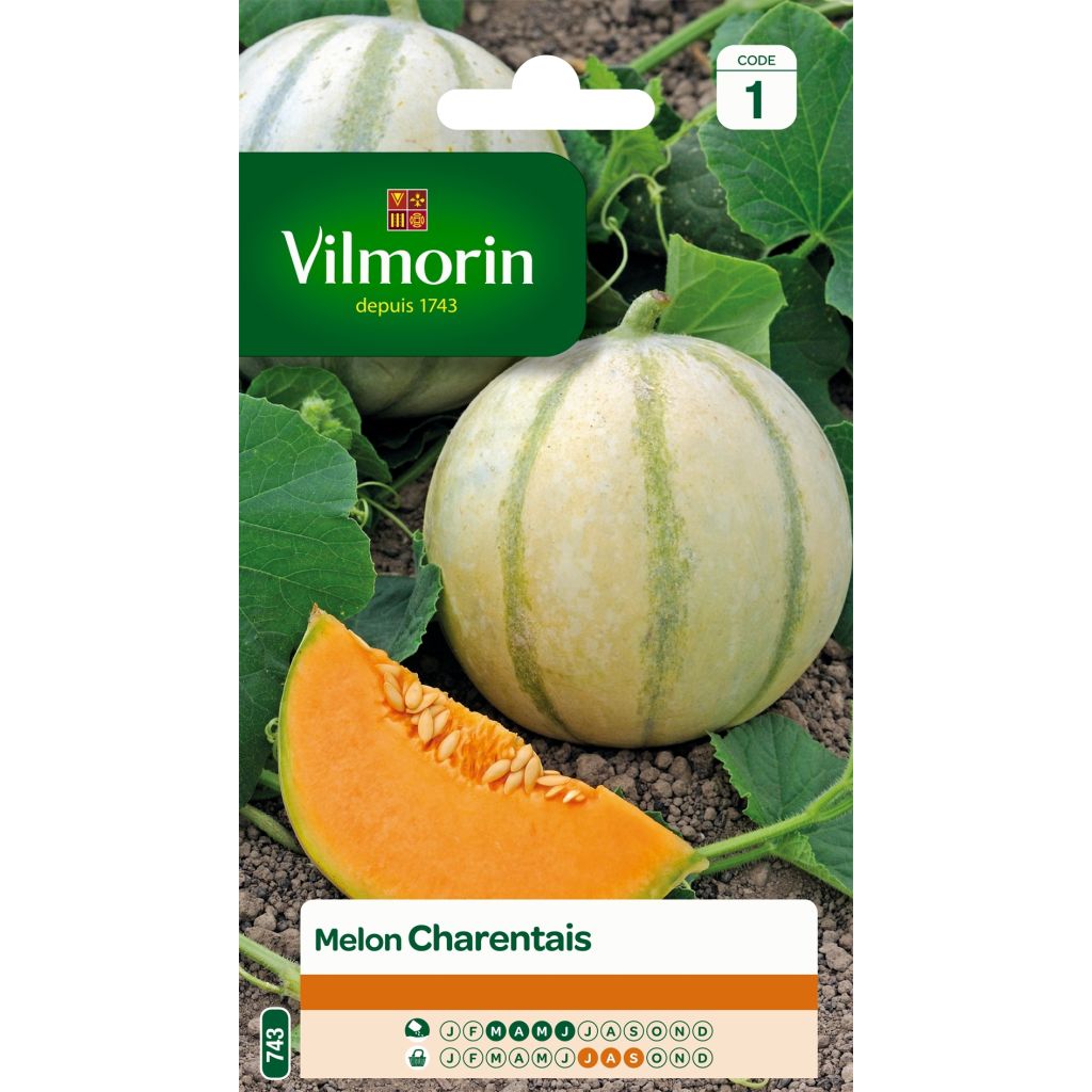 Melone Charentais - Vilmorin