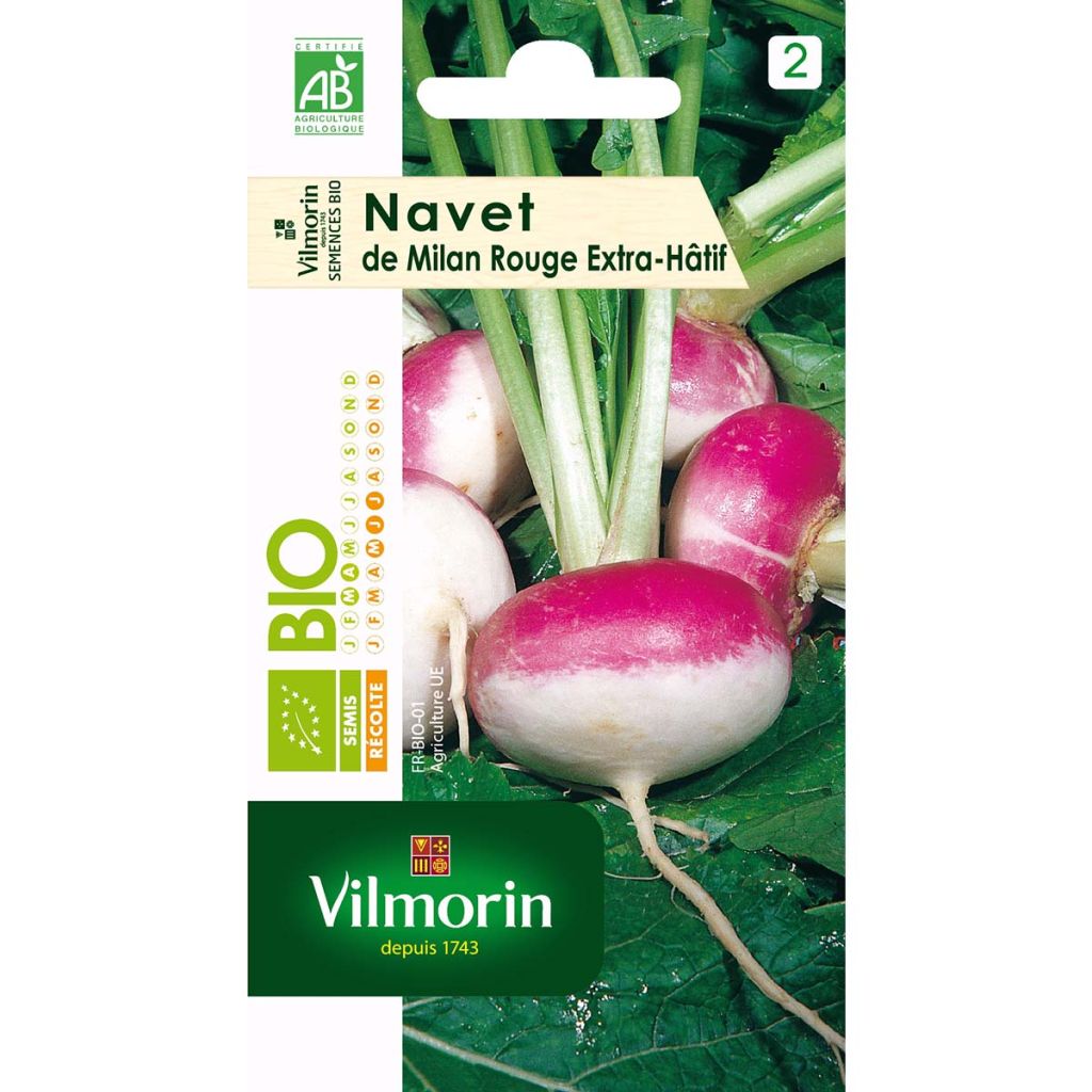 Navet de Milan Rouge Extra Hâtif Bio - Vilmorin