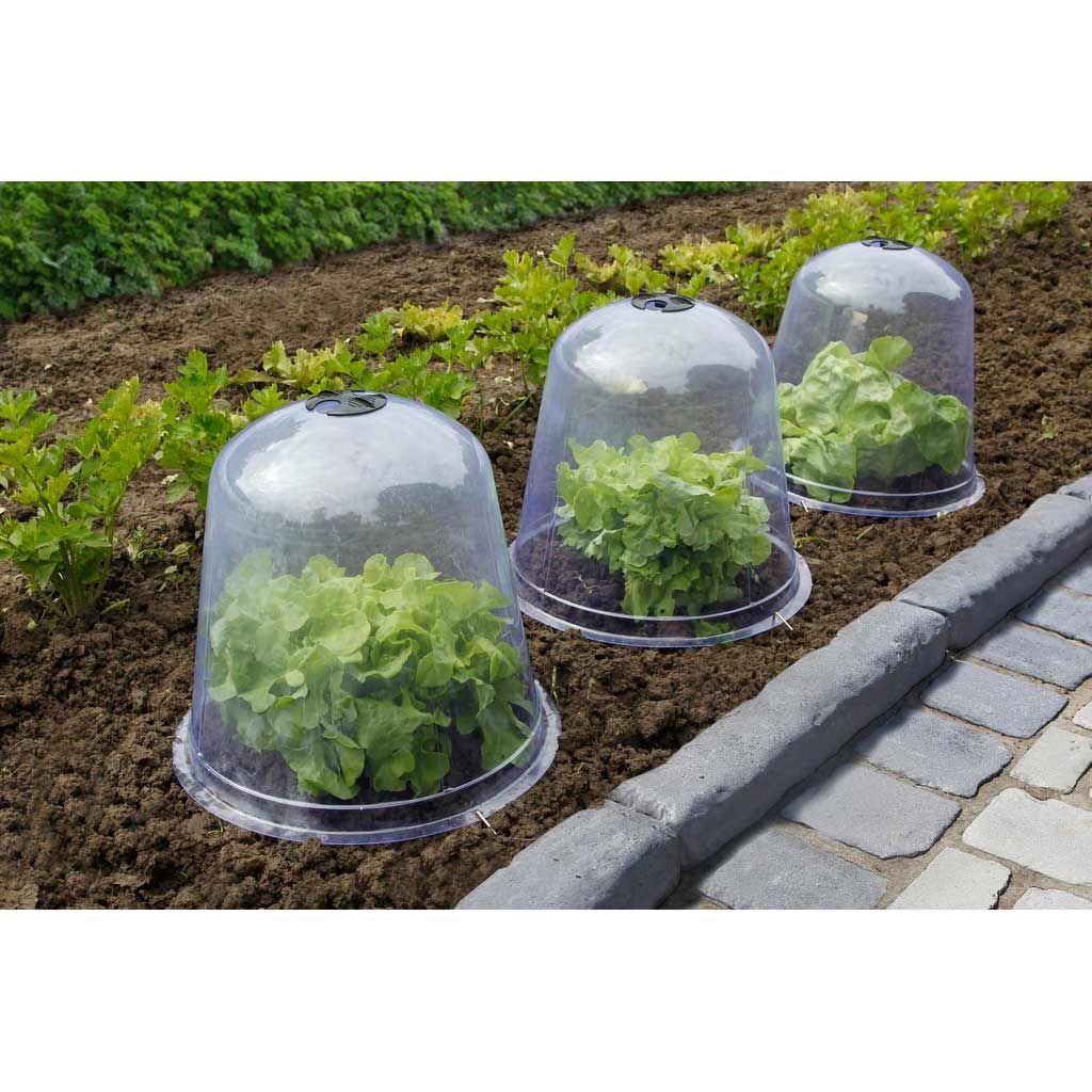 Durchsichtige PVC-Salatschüssel Ø 33 cm - im 3er-Pack erhältlich