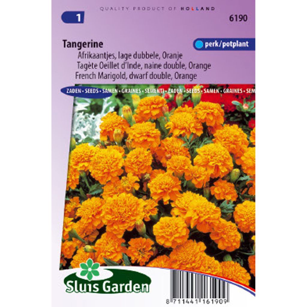 Graines d'Oeillet d’Inde Tangerine - Tagetes patula