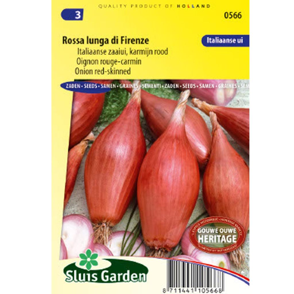 Steckzwiebel Rouge long de Florence