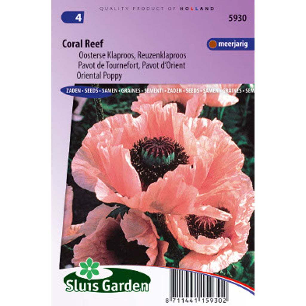 Orientalischer Mohn Coral Reef (Samen) - Papaver orientale