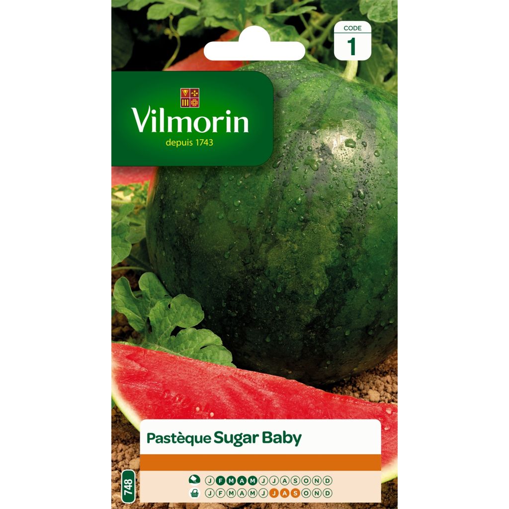 Wassermelone Sugar Baby - Vilmorin