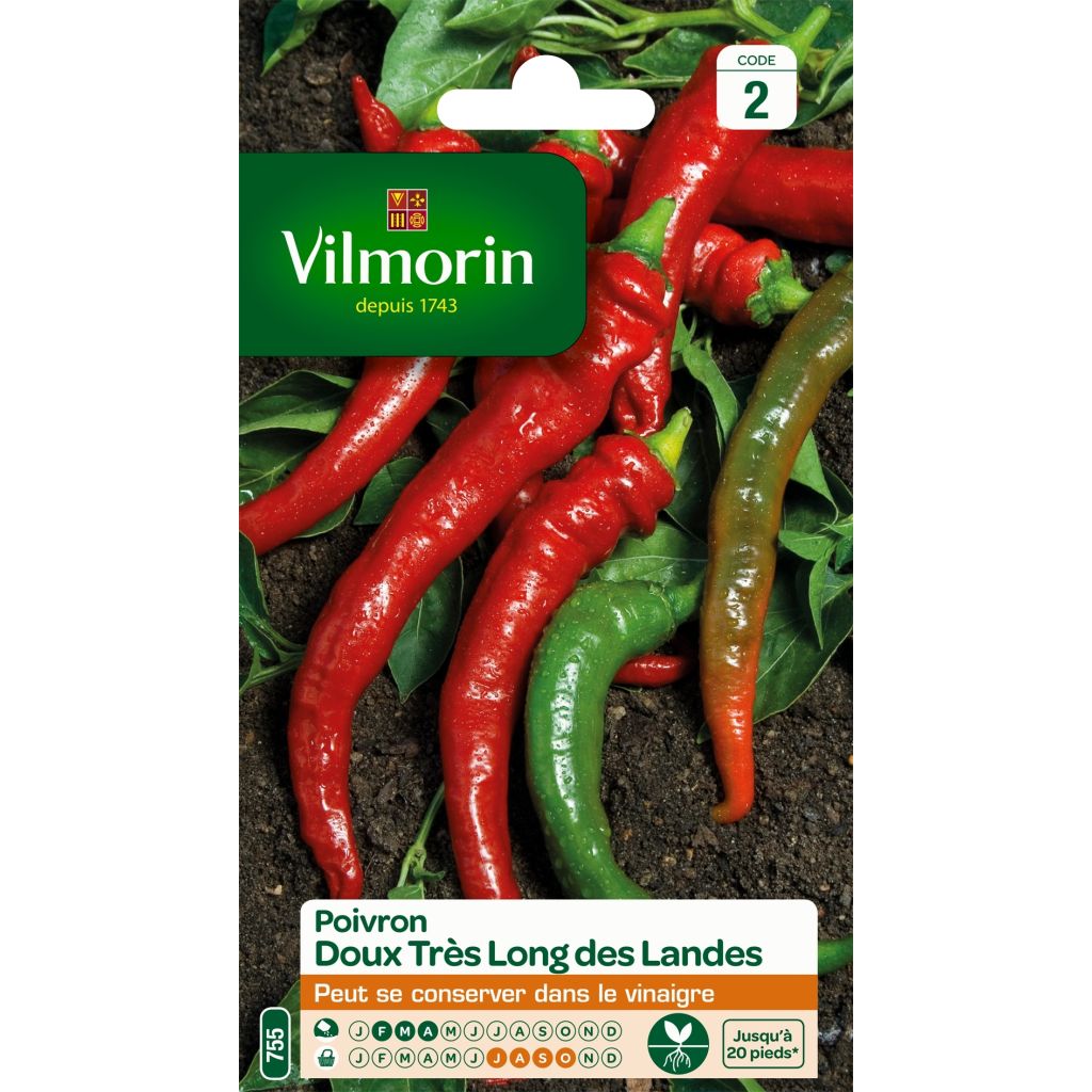 Paprika Long des Landes - Vilmorin