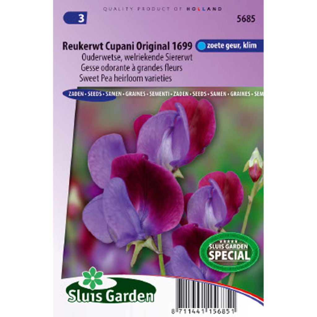 Duftwicke Cupani (Samen) - Lathyrus odoratus