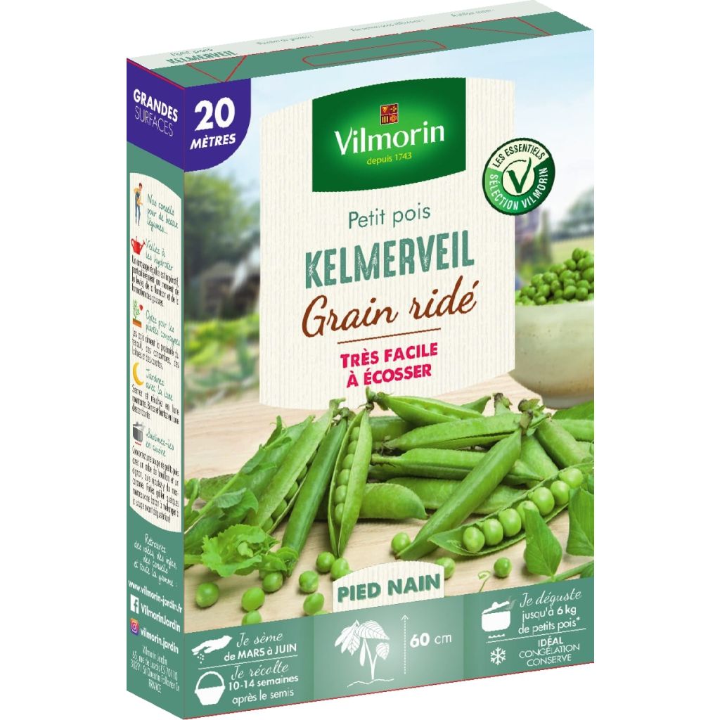 Zwergerbse Kelmerveil - Vilmorin