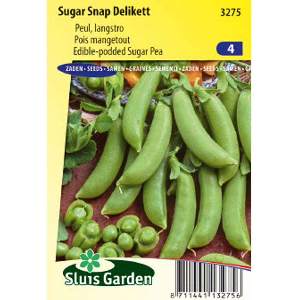 Riesige Erbse Sugar Snap Delikett