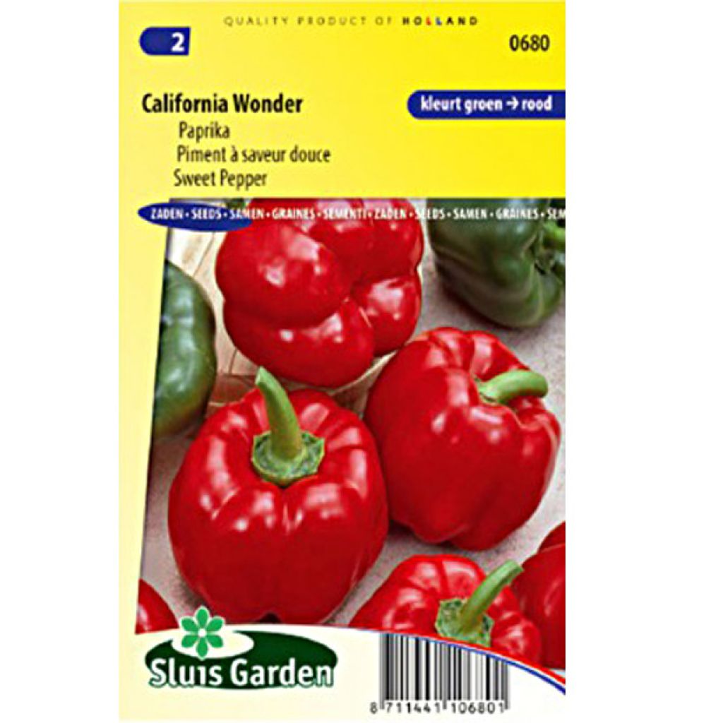 Paprika California Wonder