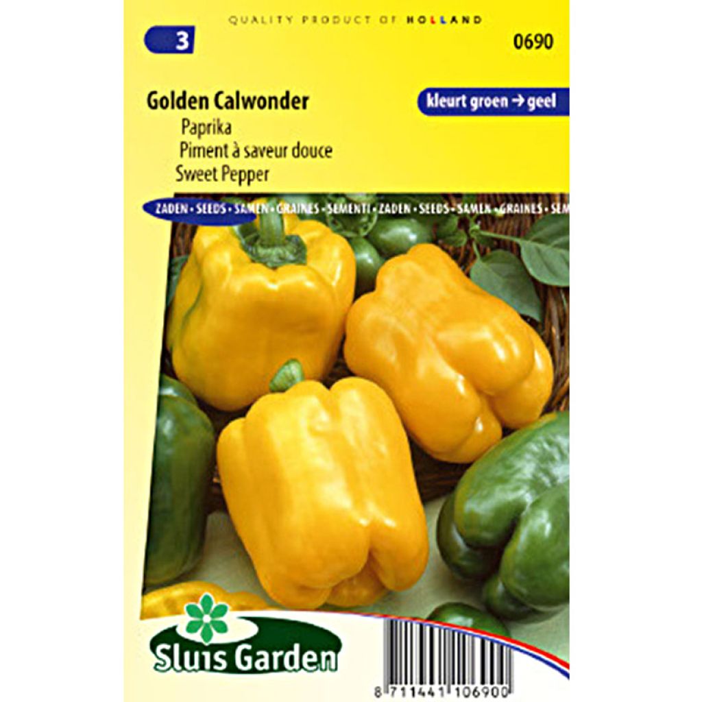 Paprika Golden Calwonder