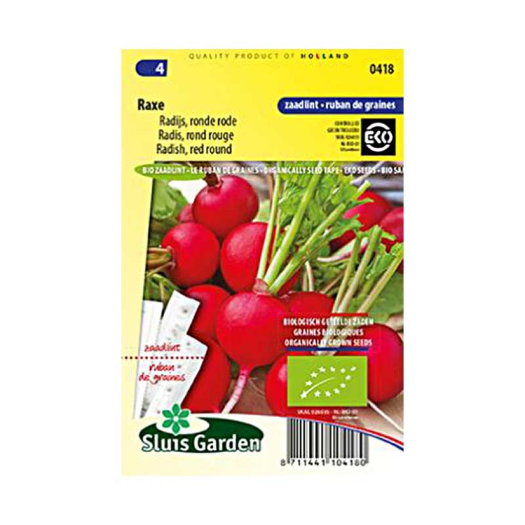 Rettich Rond rouge Raxe Bio Bio