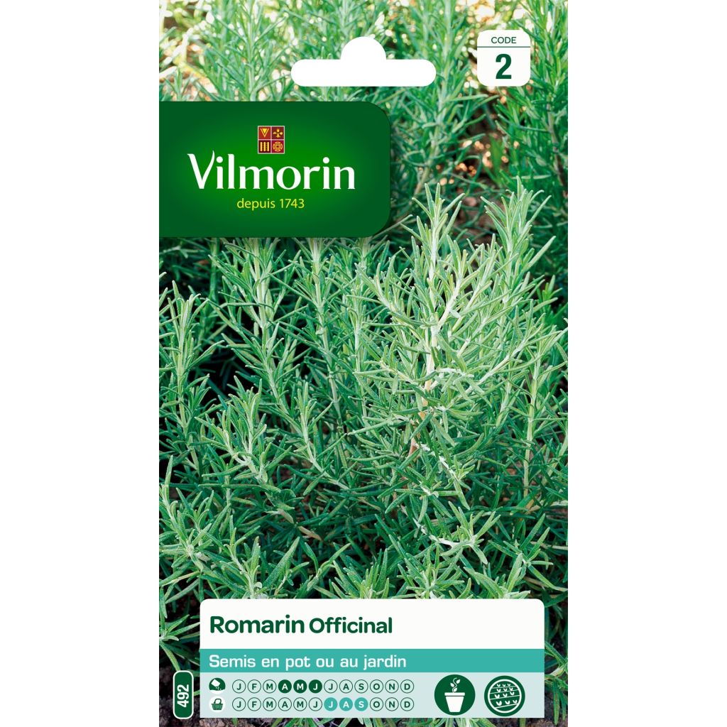 Rosmarin - Vilmorin - Rosmarinus officinalis