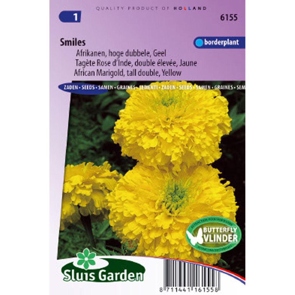 Aufrechte Studentenblume Smiles (Samen) - Tagetes