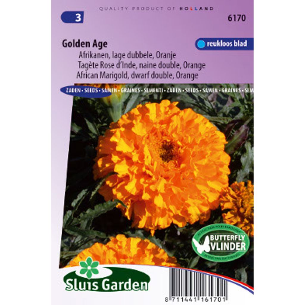 Aufrechte Studentenblume Golden Age (Samen) - Tagetes