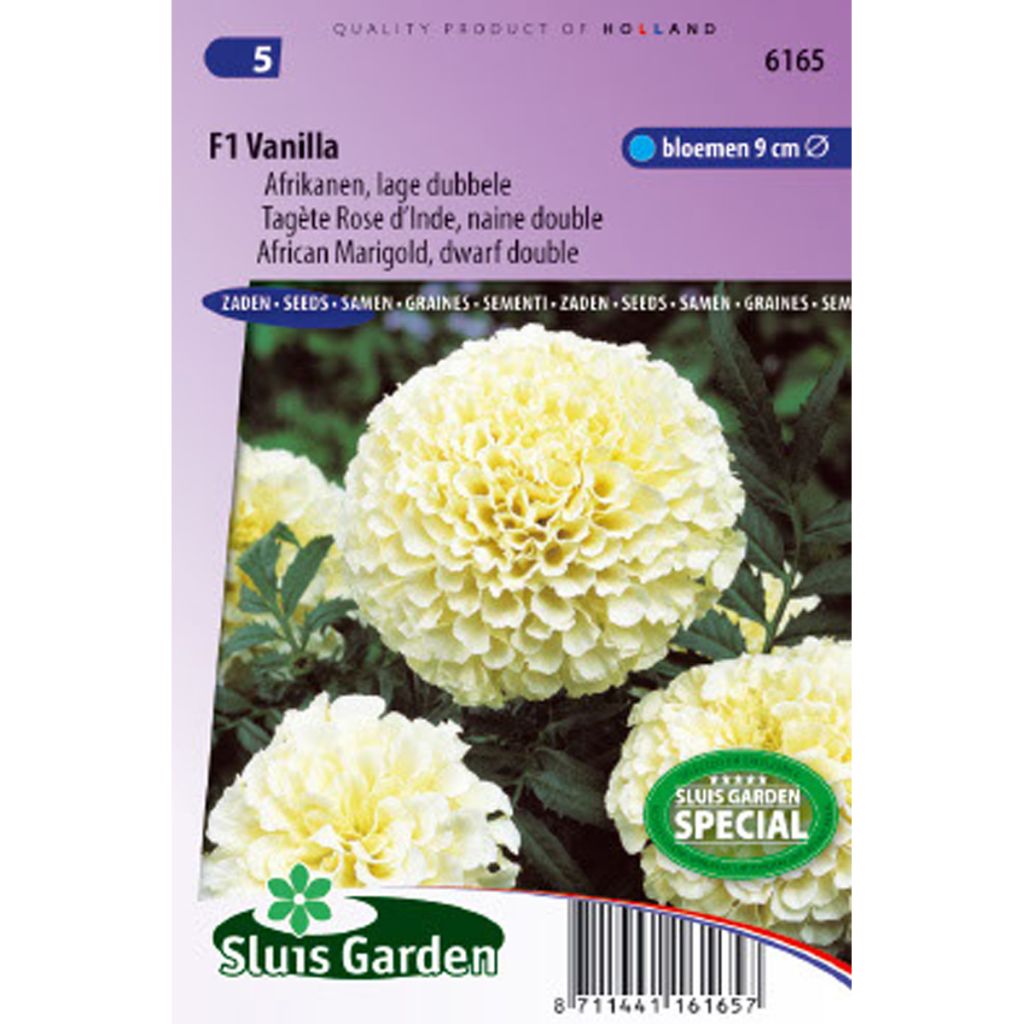 Aufrechte Studentenblume Vanilla (Samen) - Tagetes