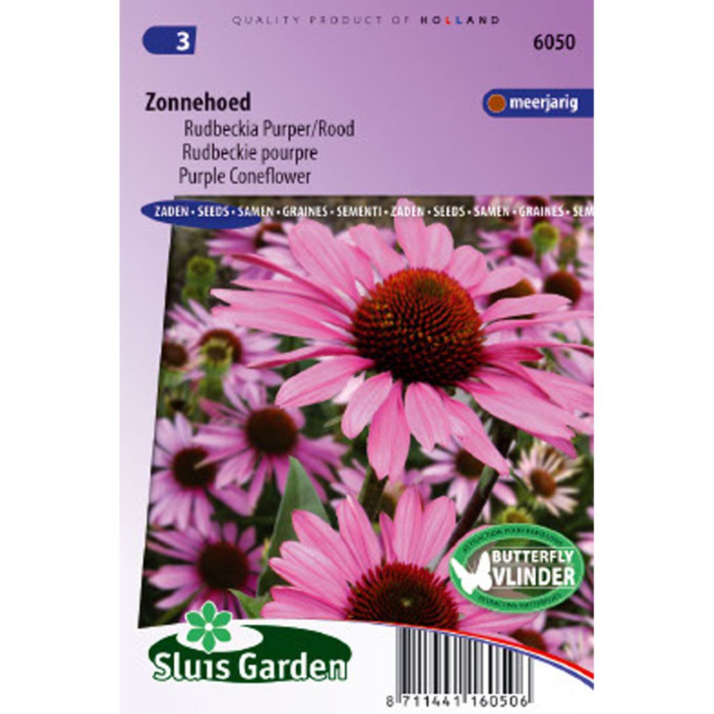 Echinacea purpurea (Samen) - Sonnenhut