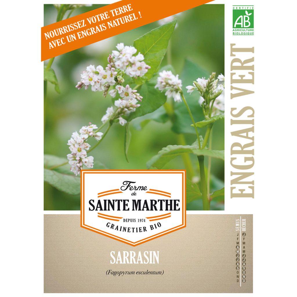 Echter Buchweizen Bio - Ferme de Sainte Marthe - Fagopyrum esculentum