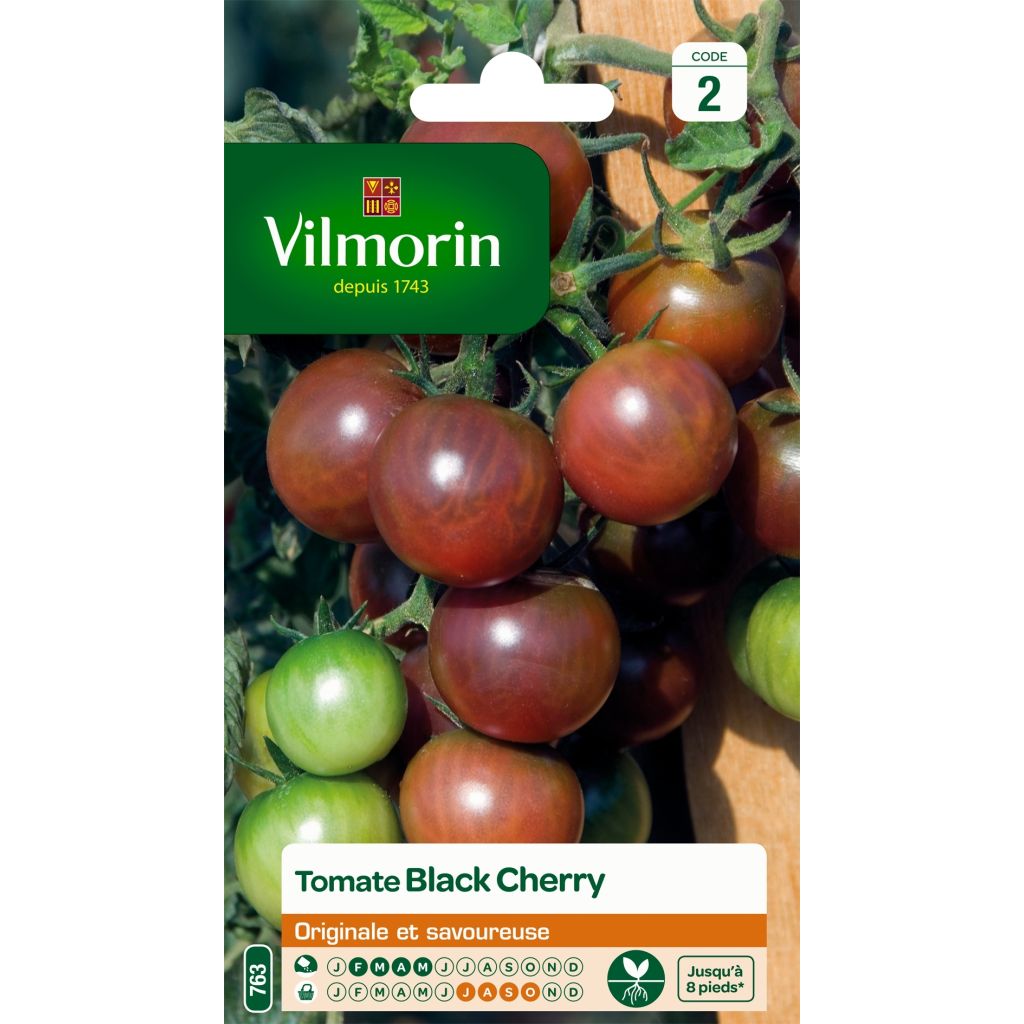 Kirschtomate Black Cherry - Vilmorin