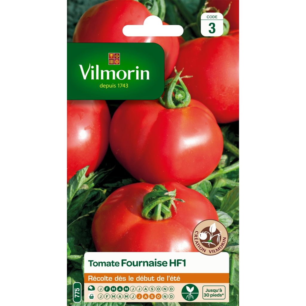 Tomate Fournaise - Vilmorin