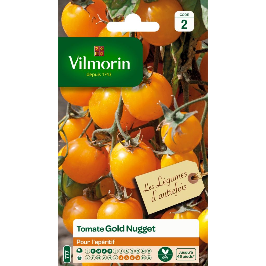 Tomate Gold Nugget - Vilmorin