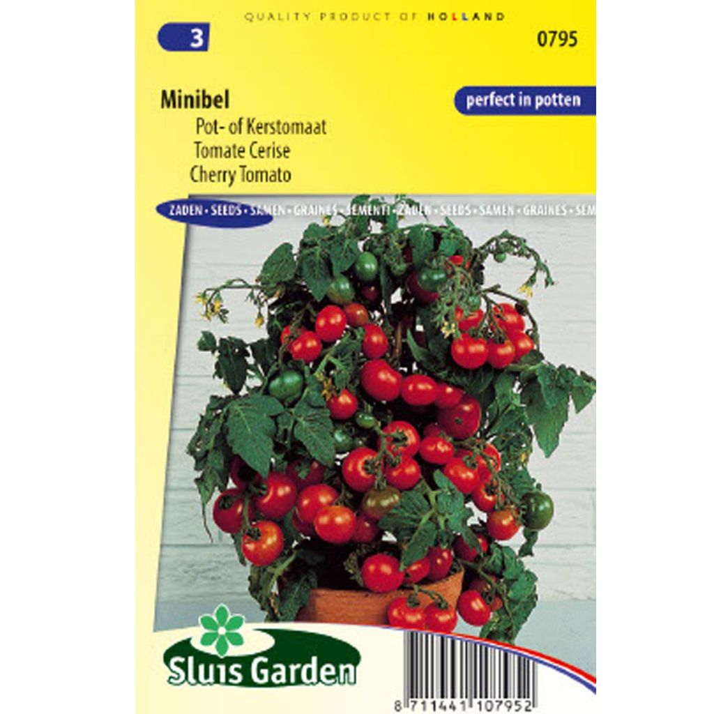 Kirschtomate Minibel