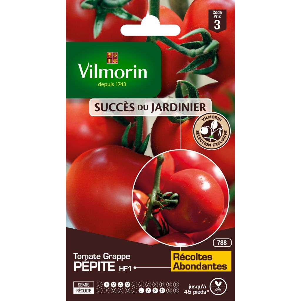 Kirschtomate Pépite - Vilmorin