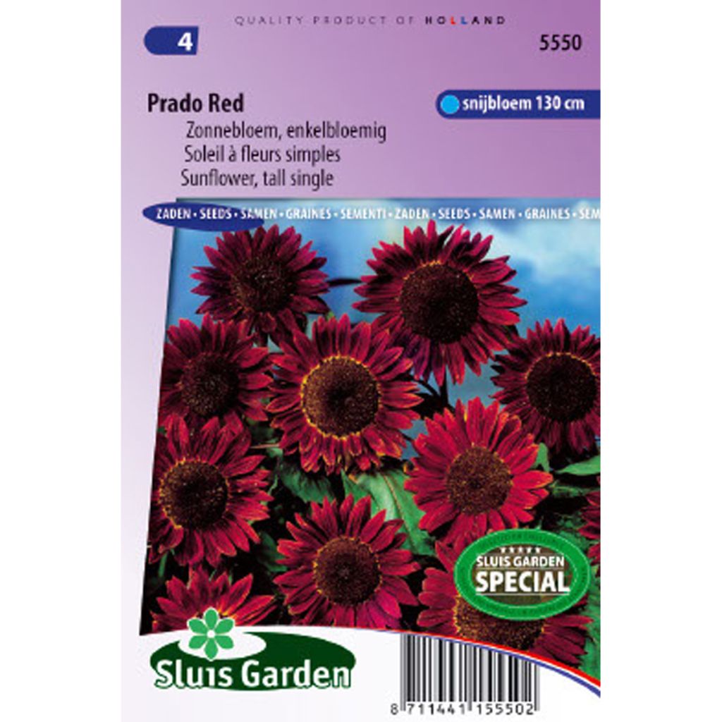 Gemeine Sonnenblume Prado Red - Helianthus