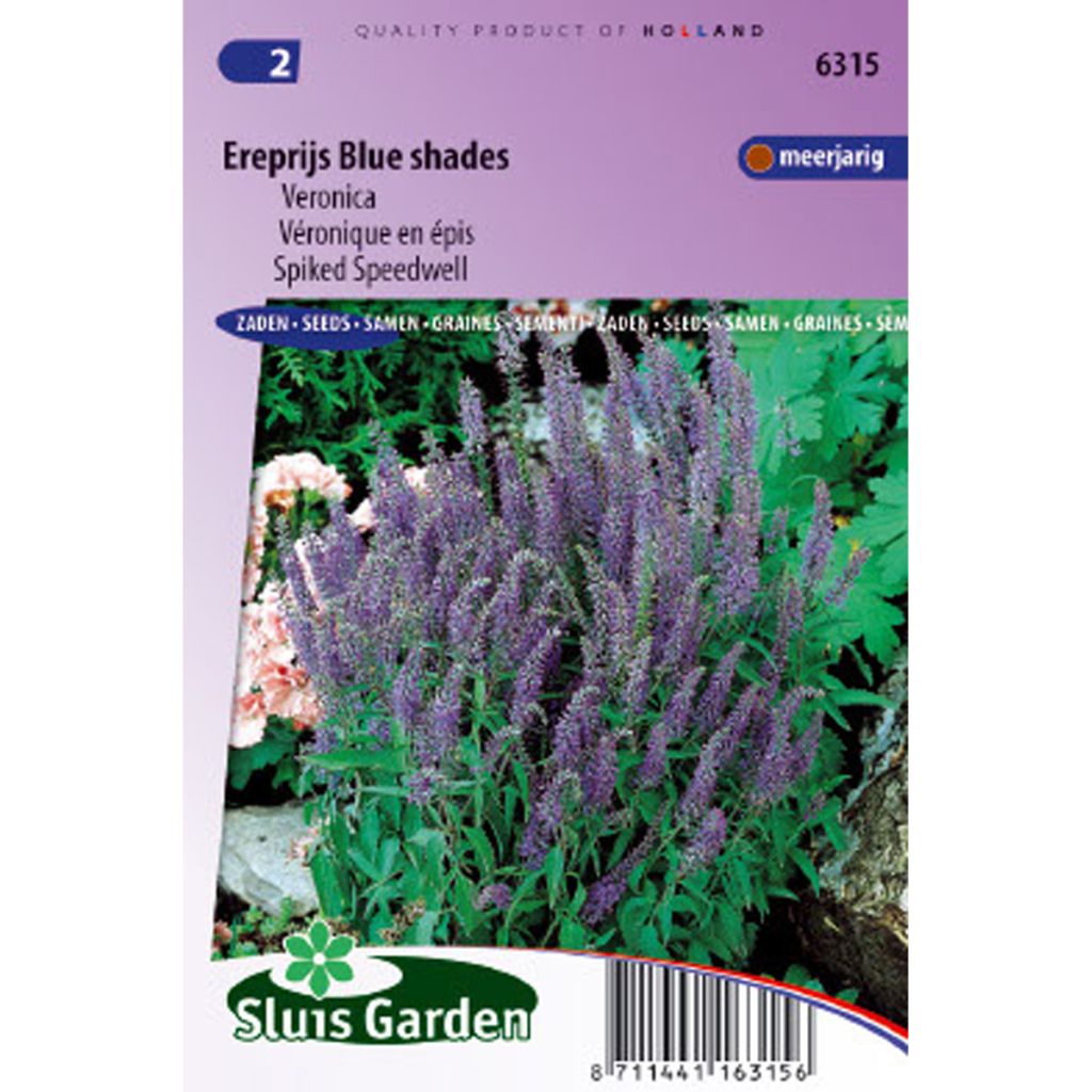 Ähriger Ehrenpreis Blue Shades (Samen) - Veronica spicata