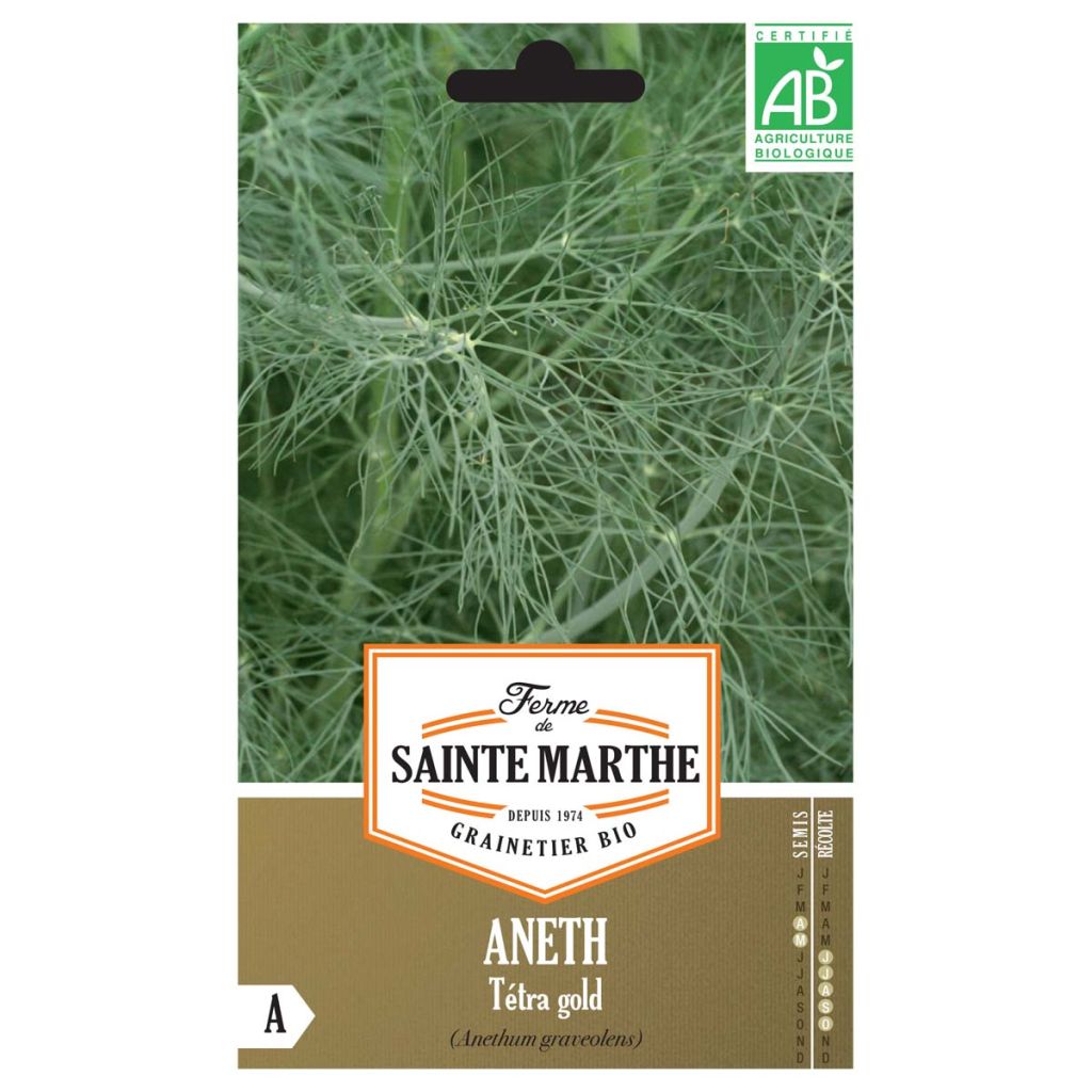 Dill Tetra Gold Bio - Anethum graveolens