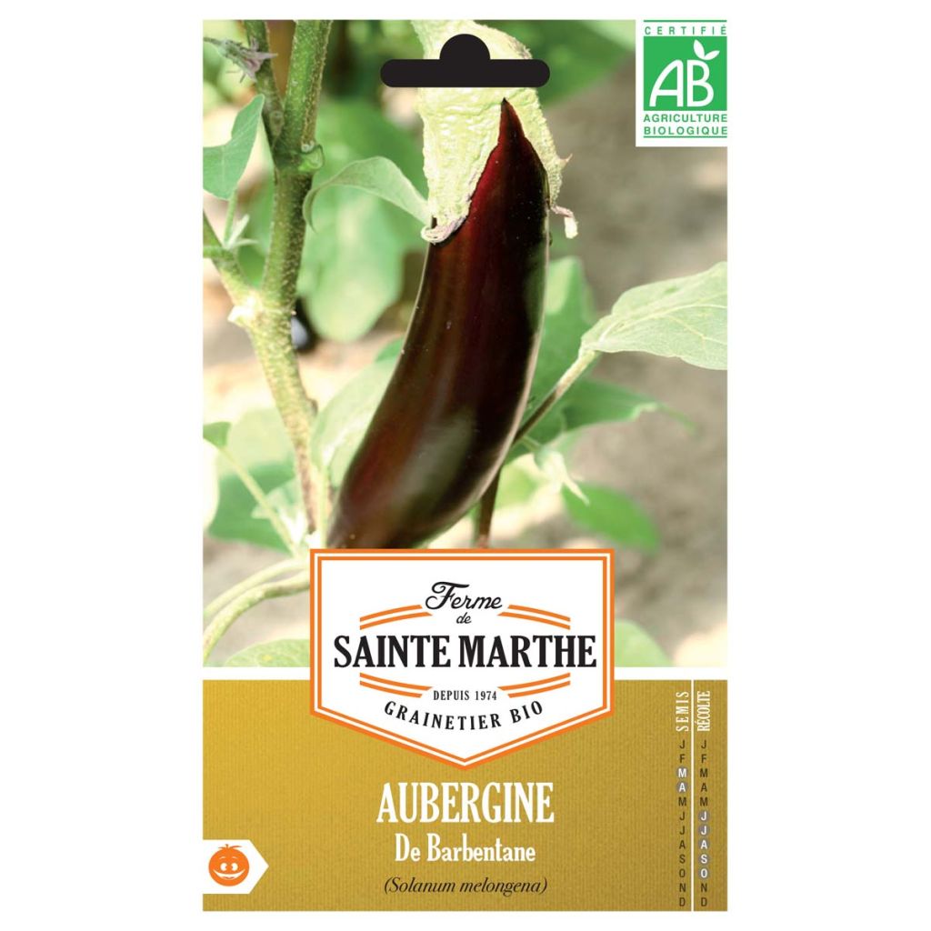 Aubergine De Barbentane - Ferme de Ste Marthe