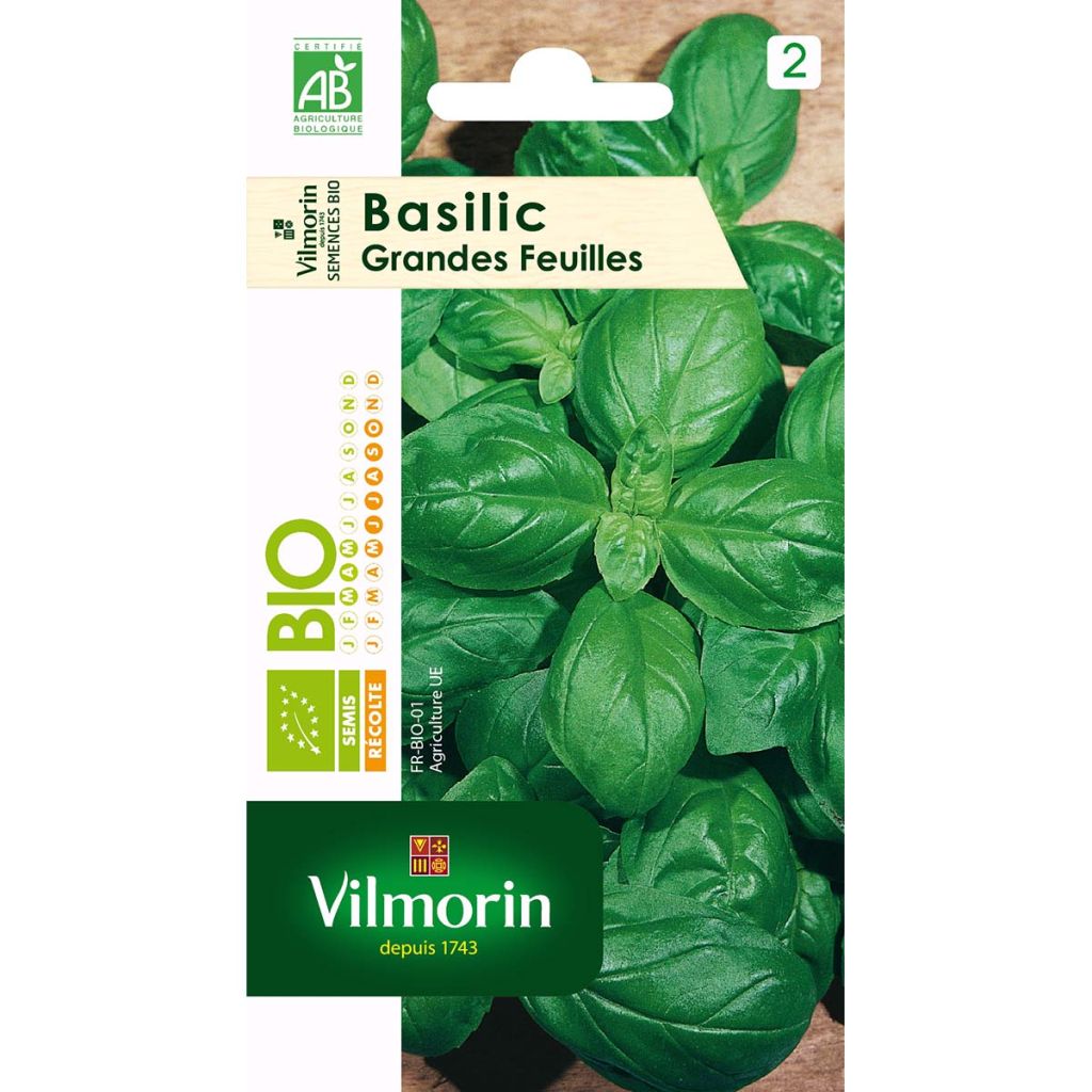 Basilikum Grand vert Bio - Vilmorin - Ocimum basilicum