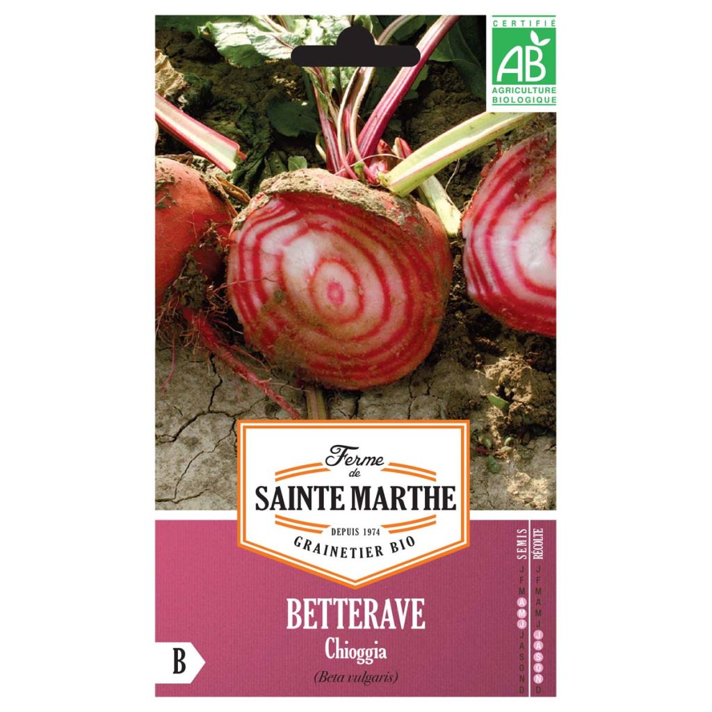 Betterave Chioggia - Ferme de Ste Marthe