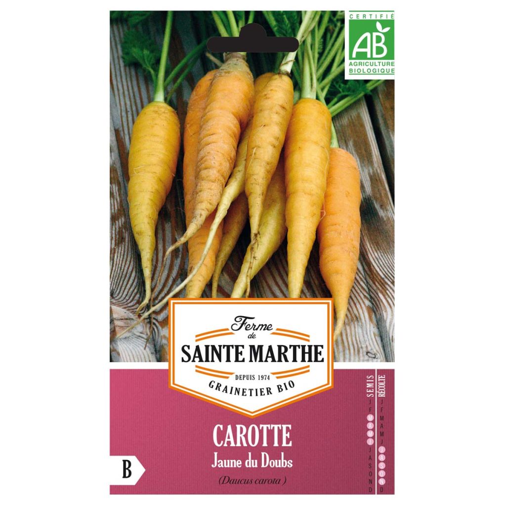 Carotte Jaune du Doubs NT - Ferme de Sainte Marthe