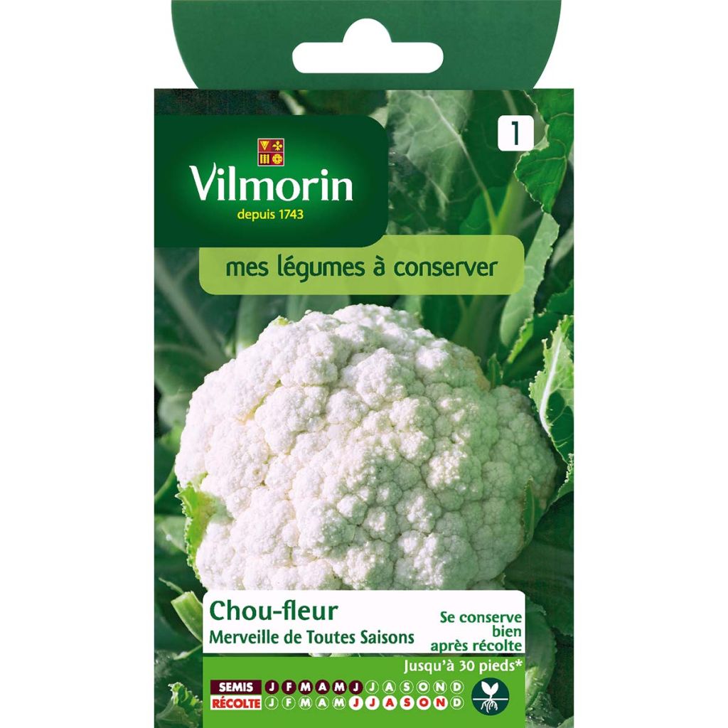 Chou-Fleur Merveille de Toutes Saisons - Vilmorin