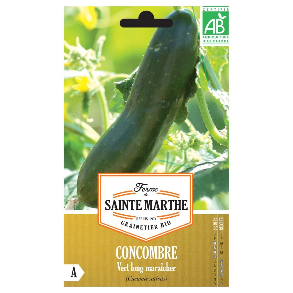 Concombre Vert Long Maraîcher AB - Ferme de Ste Marthe