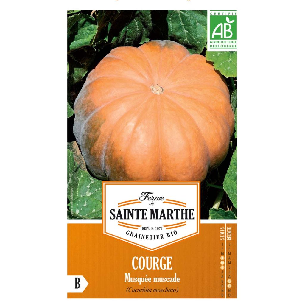 Courge Musquée Muscade Bio - Ferme de Sainte Marthe