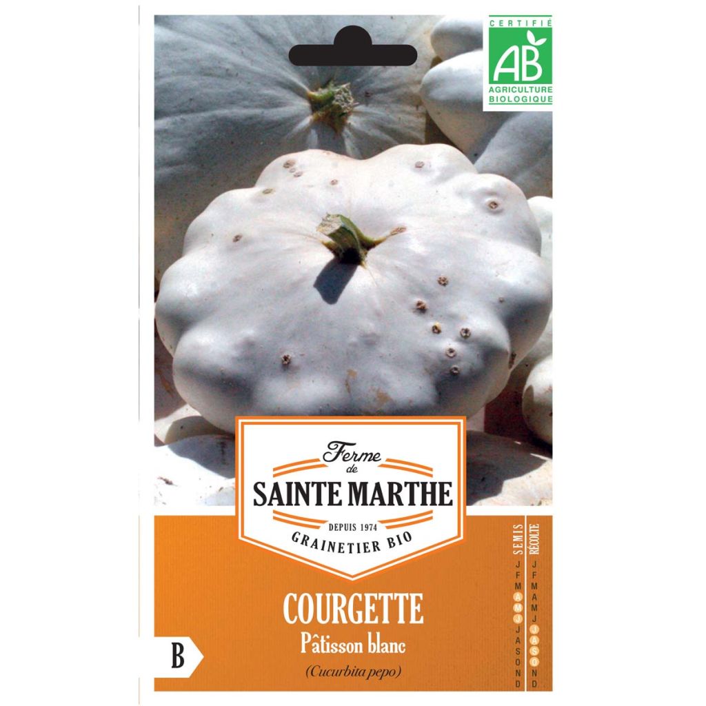 Üfo-Kürbis Pâtisson Blanc Bio - Ferme de Sainte Marthe