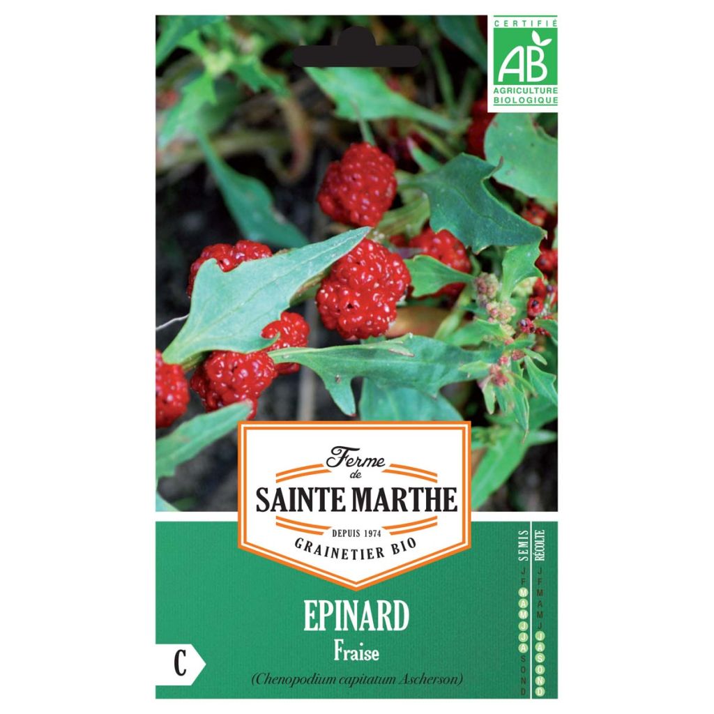 Epinard Fraise Bio - Ferme de Sainte Marthe 