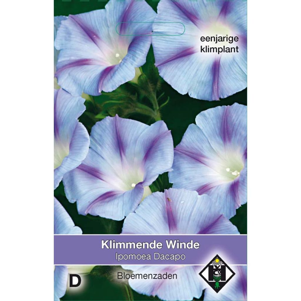 Ipomoea purpurea Dacapo Light Blue (Samen) - Prunkwinde