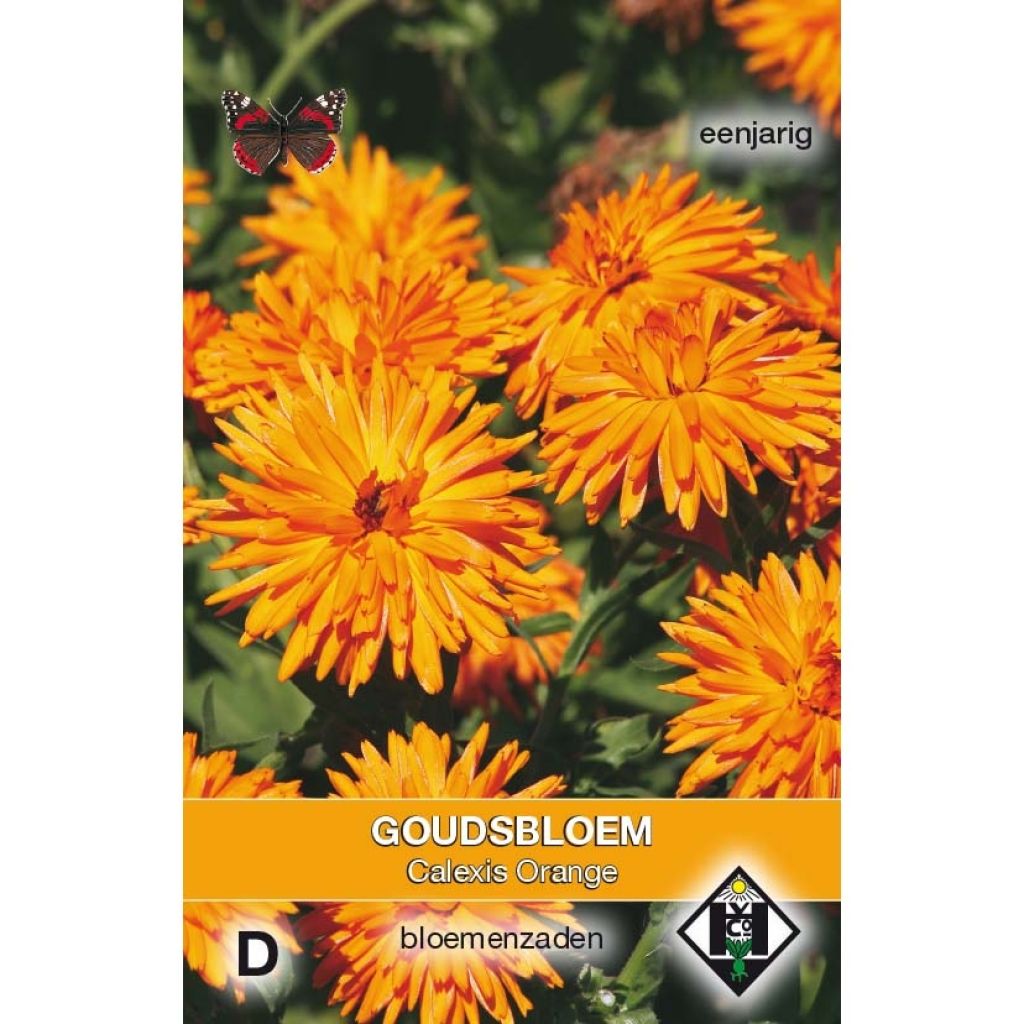 Ringelblume Calexis Orange (Samen) - Calendula officinalis