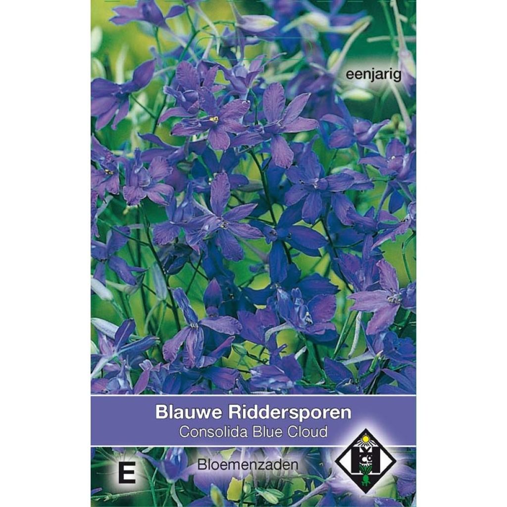 Delphinium regalis Blue Cloud (Samen) - Garten-Rittersporn