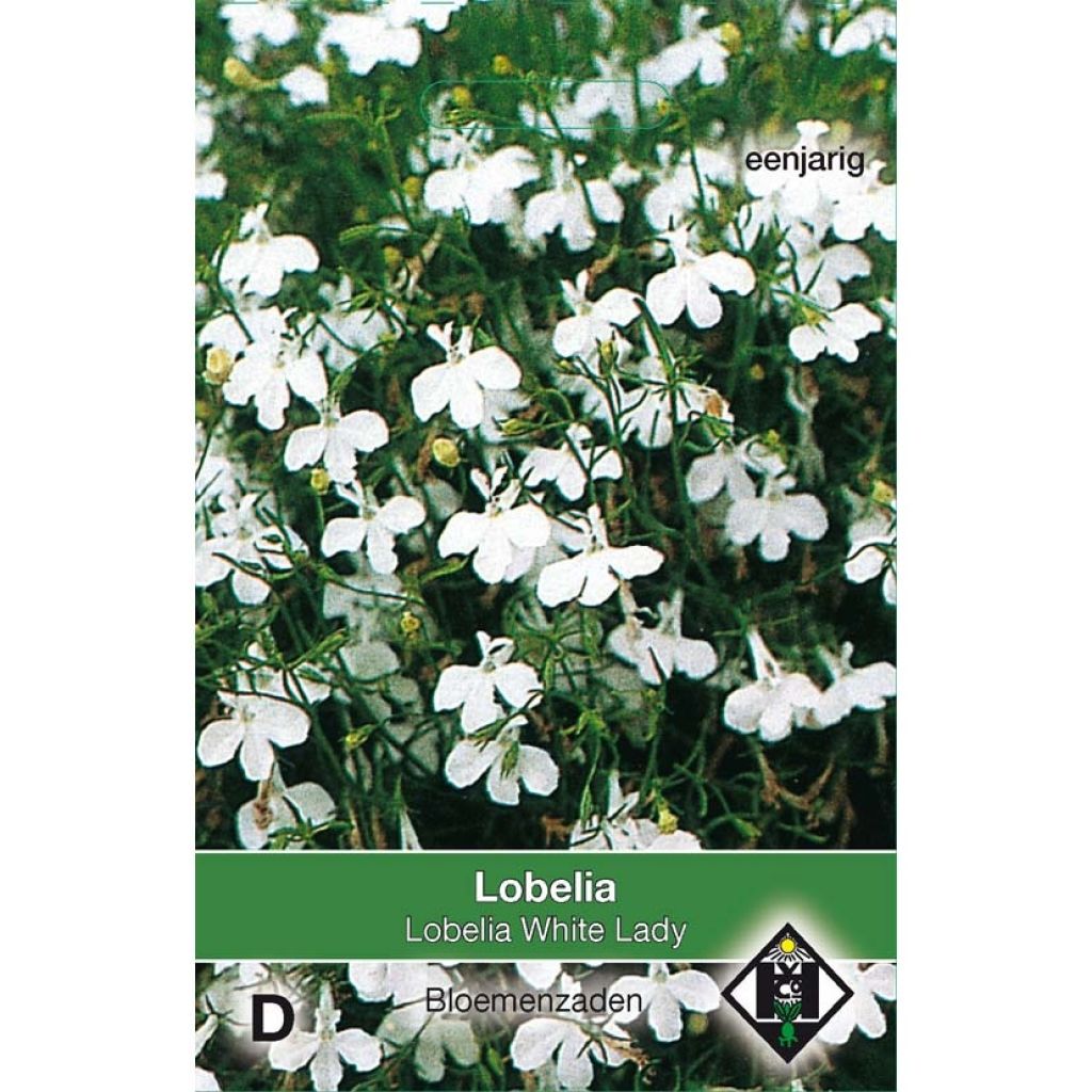 Lobelia erinus White Lady (Samen) - Lobelie